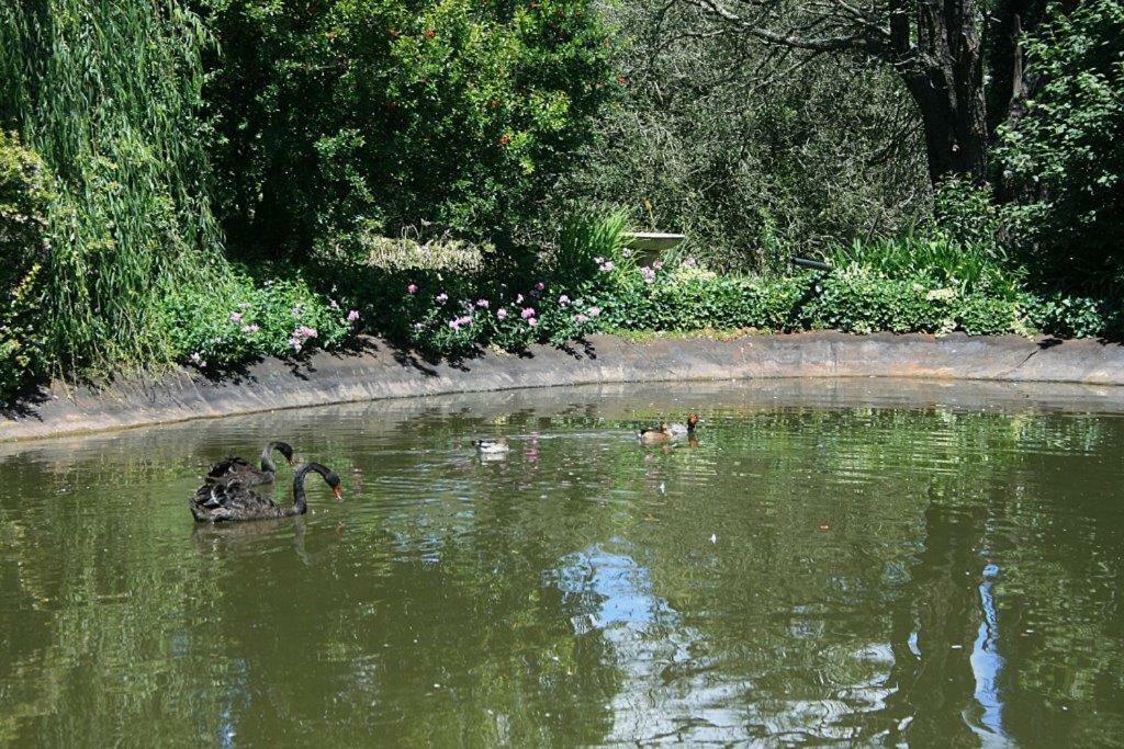Drinkwater Guest Farm Grootgewaagd Dış mekan fotoğraf